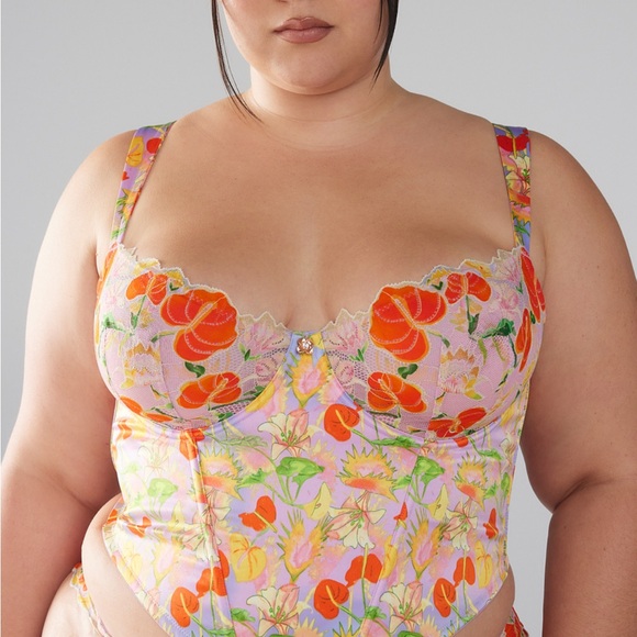 ISO: savage x Fenty mutha nature silk bustier in 3x or 4x - Picture 3 of 4